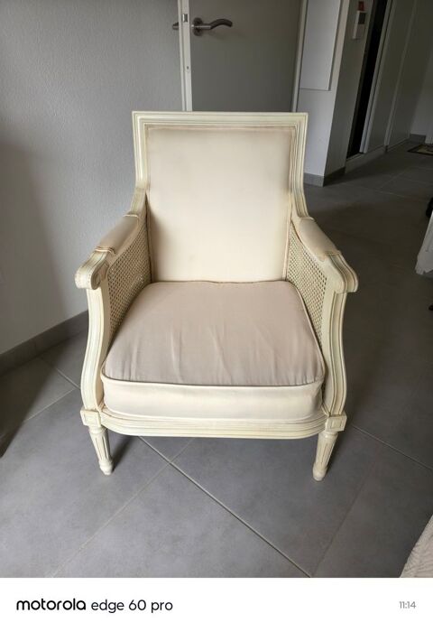 Fauteuil style Louis XVI 150 Toulouse (31)