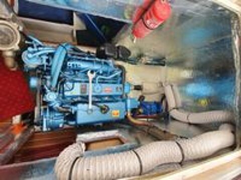 Bateau fluvial 2011 occasion 73330 Belmont-Tramonet