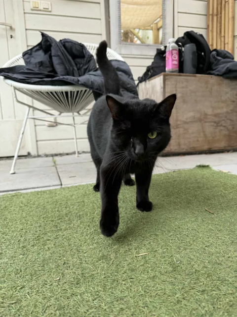 Razowski 190 44000 Nantes