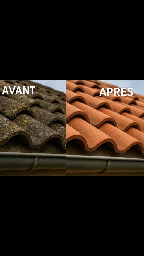 Demoussage Toiture 0 01600 Tr�voux