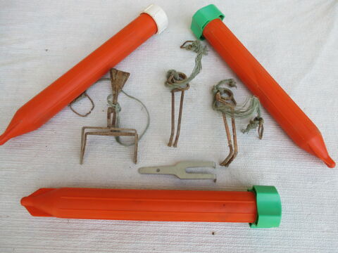 Piges  taupes 40 Pronnas (01)