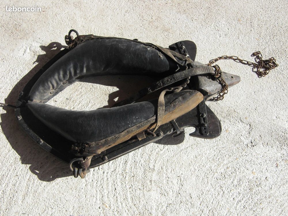 Collier de cheval de trait Décoration
