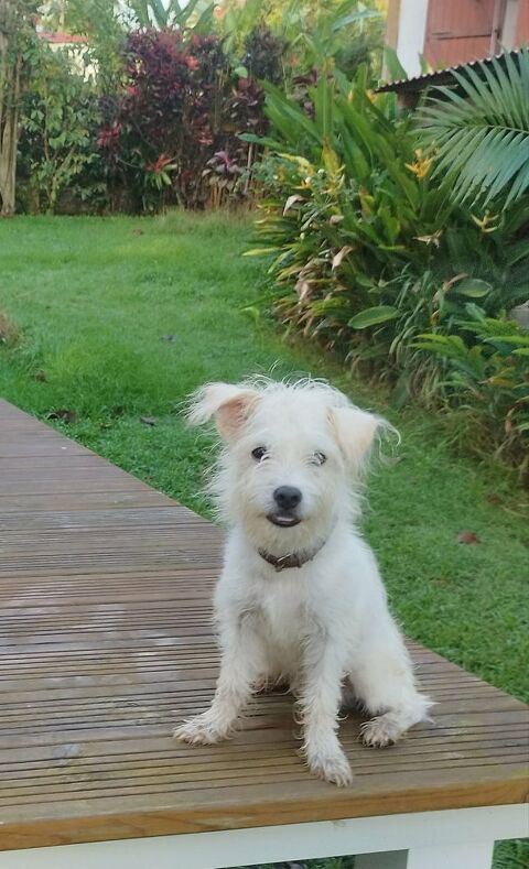 ANIS le plus beau des crois&eacute;s 300 76000 Rouen