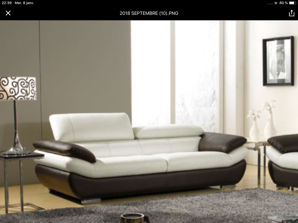 canape de luxe Meubles
