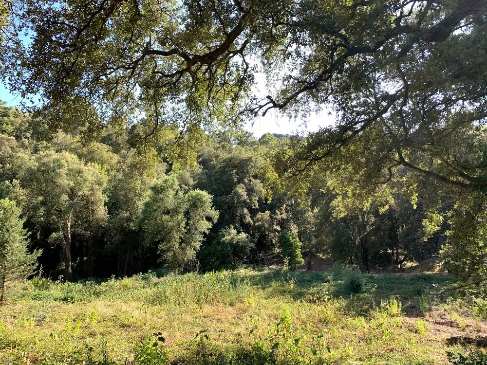 Vente Terrain Terrain constructible Cogolin