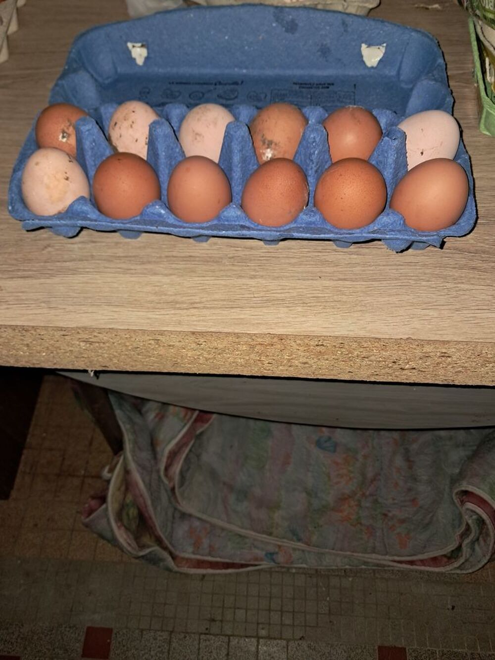   Oeufs de poules pleine aire bio 