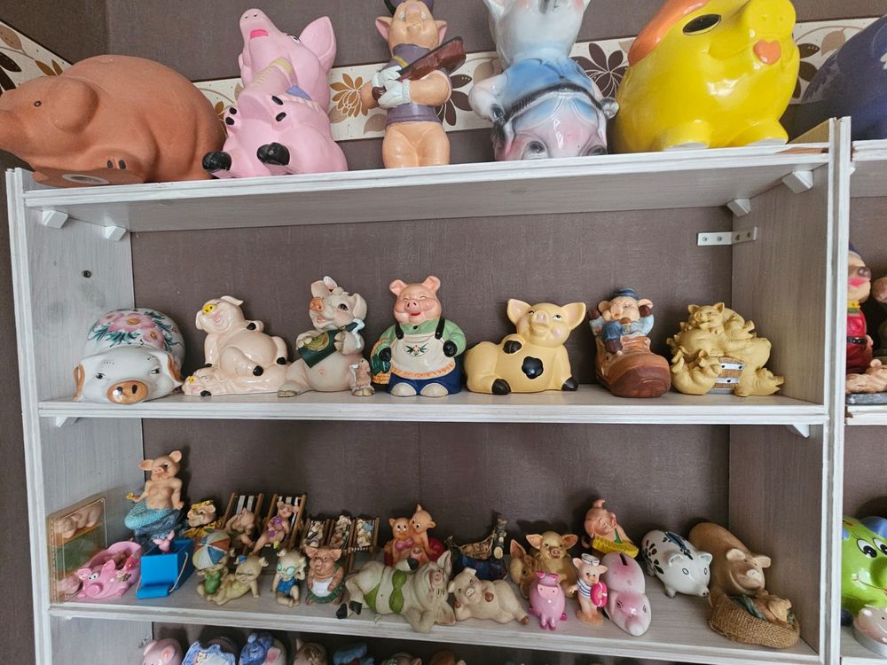 Collection sur le th&egrave;me des cochons 