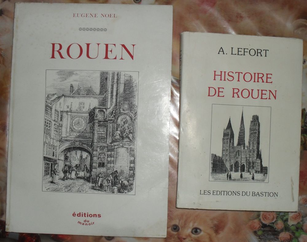 2 Livres sur l'Histoire de ROUEN en tr&egrave;s bon &eacute;tat. Livres et BD