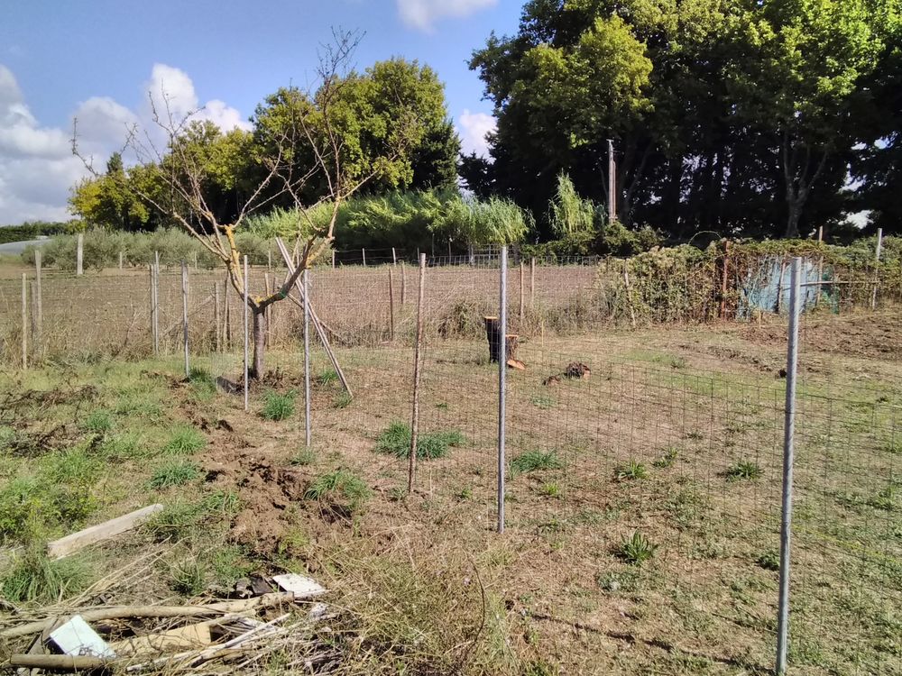 Vous avez du fumier de cheval en trop? Jardin
