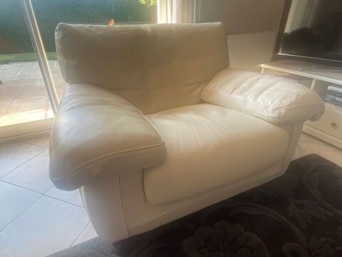 Canapé Roche Bobois Pringy (74)
