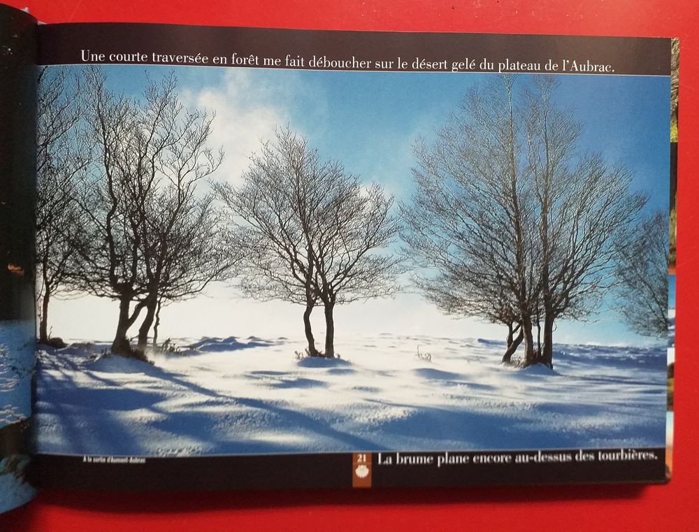 J Yves GREGOIRE SAINT JACQUES le chemin des chemins Livres et BD