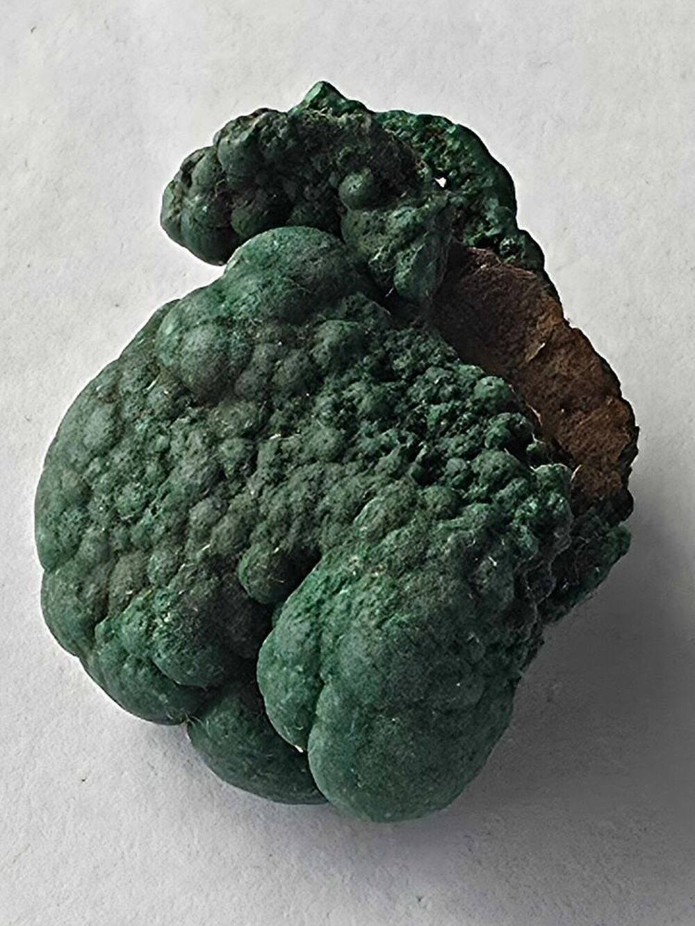 Rare Stalactite de Malachite Brute Vert Profond Katanga RDC-24g 