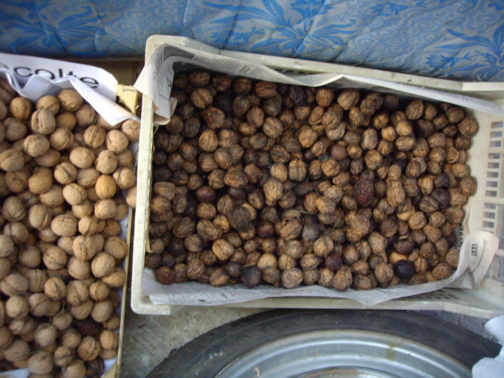 Noix Fraiches BIO non trait&eacute;s r&eacute;colte 2025 + 2024 Cuisine