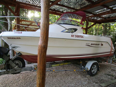 Bateaux &agrave; moteur P&ecirc;che-promenade 2006 occasion Ch&acirc;teau-Renault 37110