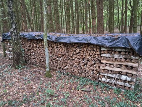 bois de chauffage 35 Escombres-et-le-Chesnois (08)