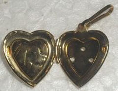   M�daille dor�e Identit� pour chien. 