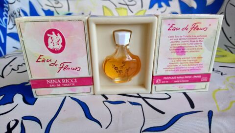 MINIATURE DE PARFUM 5 Trouy (18)