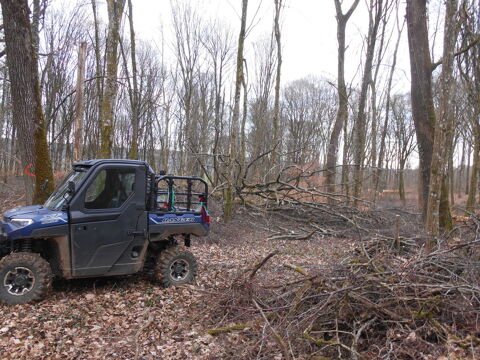 POLARIS Quad 2022 occasion Luzy-Saint-Martin 55700