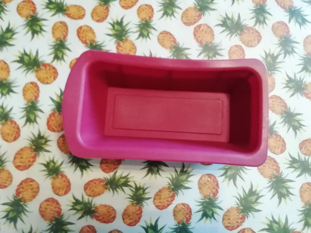 2 barquettes neuves en silicone pour p&acirc;tisserie Cuisine