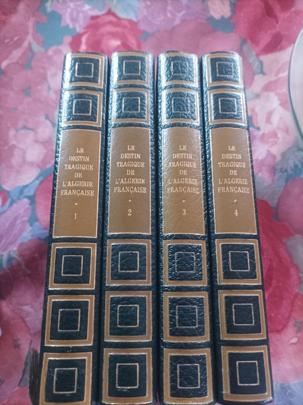 livres historiques Livres et BD