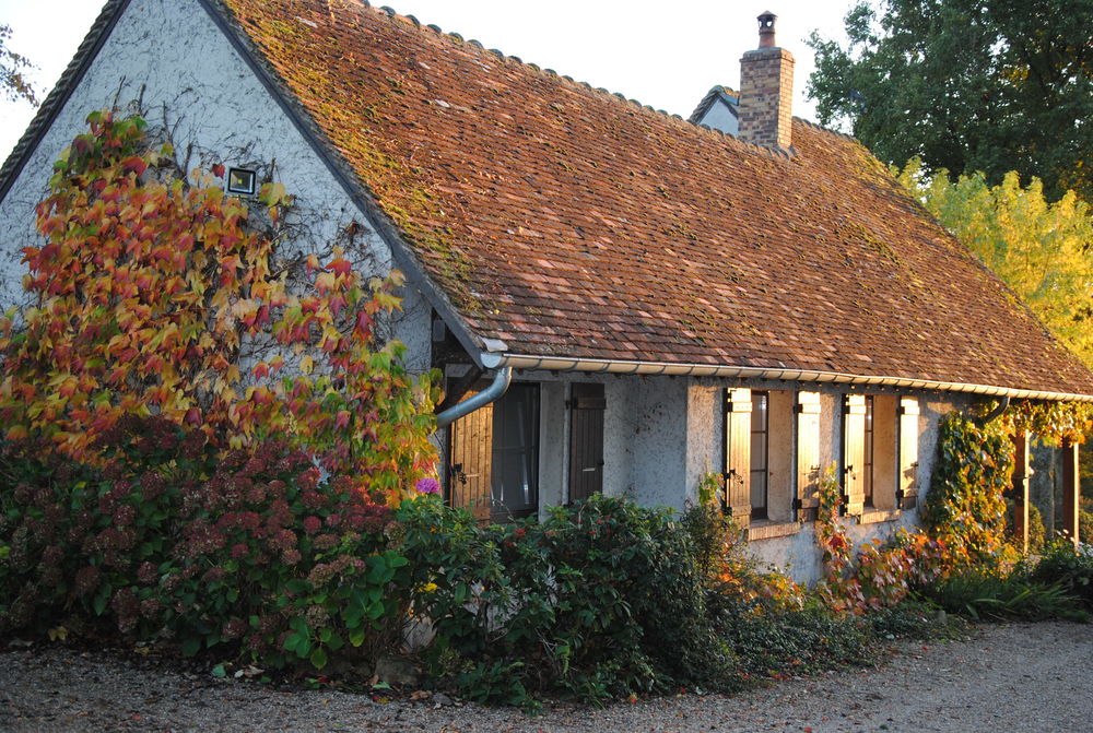 Vente Maison Maison rurale de caractère avec gîte d'accompagnement Perrigny-sur-loire