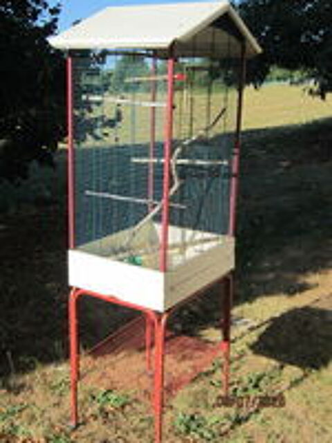   cage oiseaux 