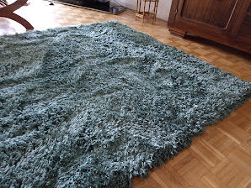 Beau tapis salon jolie couleur verte. Décoration