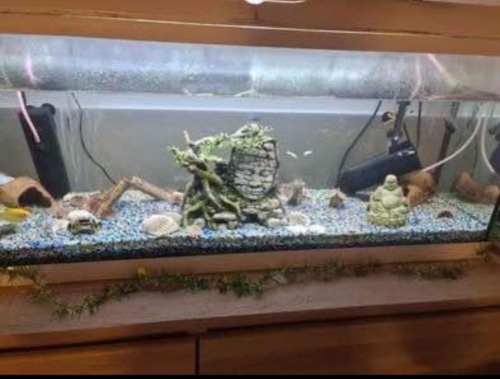 Aquarium avec couvercle blanc Décoration