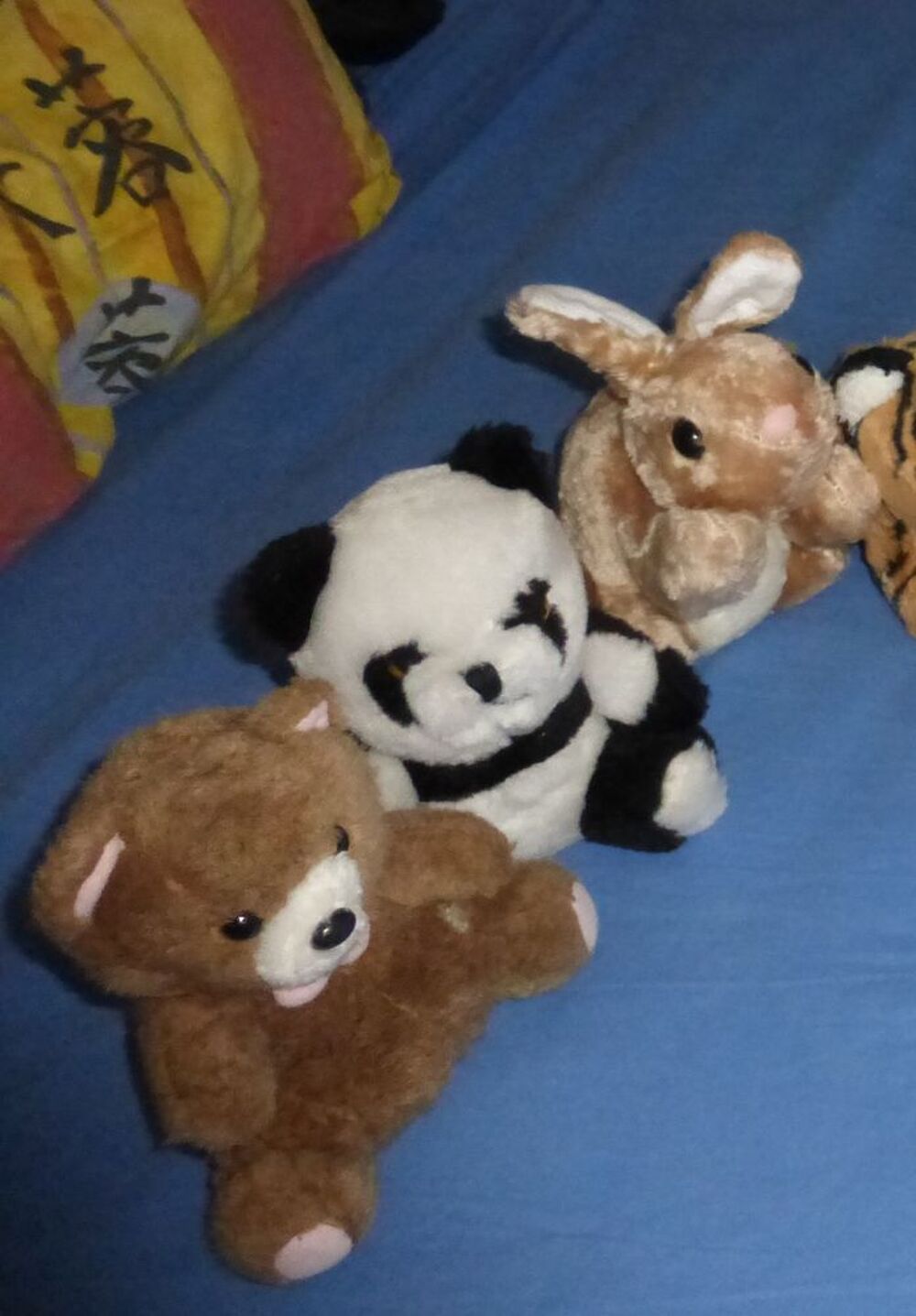 PELUCHE (1) Jeux / jouets