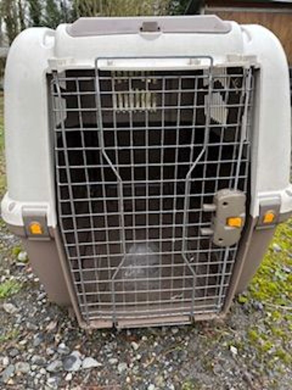   varicanelle pour gros chien 