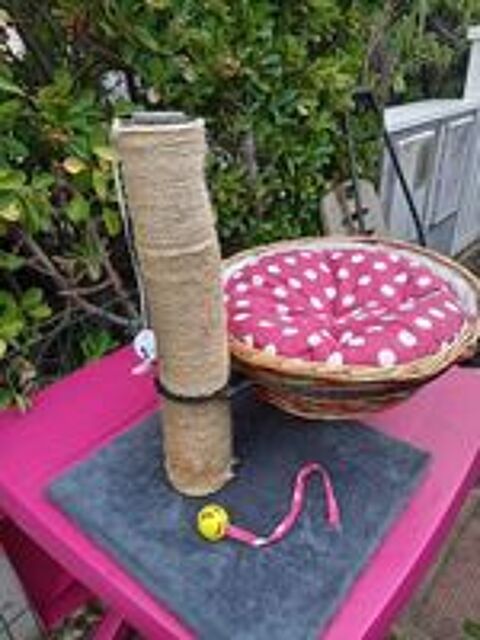   adorable arbre à chat avec panier en osier et jouets 