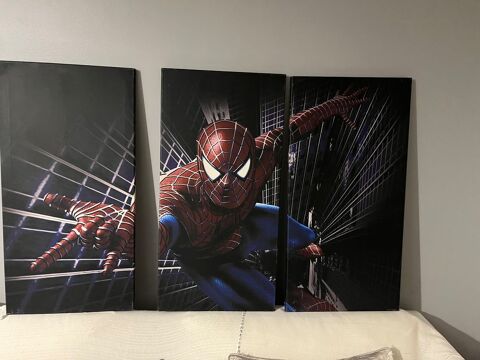 Cadre en toile en 3 pices Spiderman  30 Torcy (77)