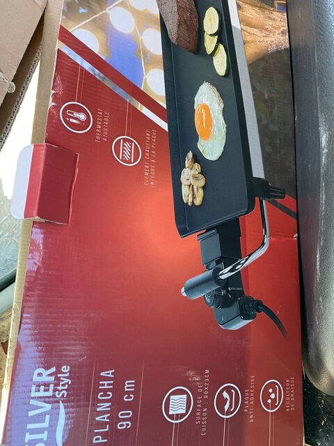 PLANCHA LECTRIQUE 90 CMS 15 Prunelli-di-Fiumorbo (20)