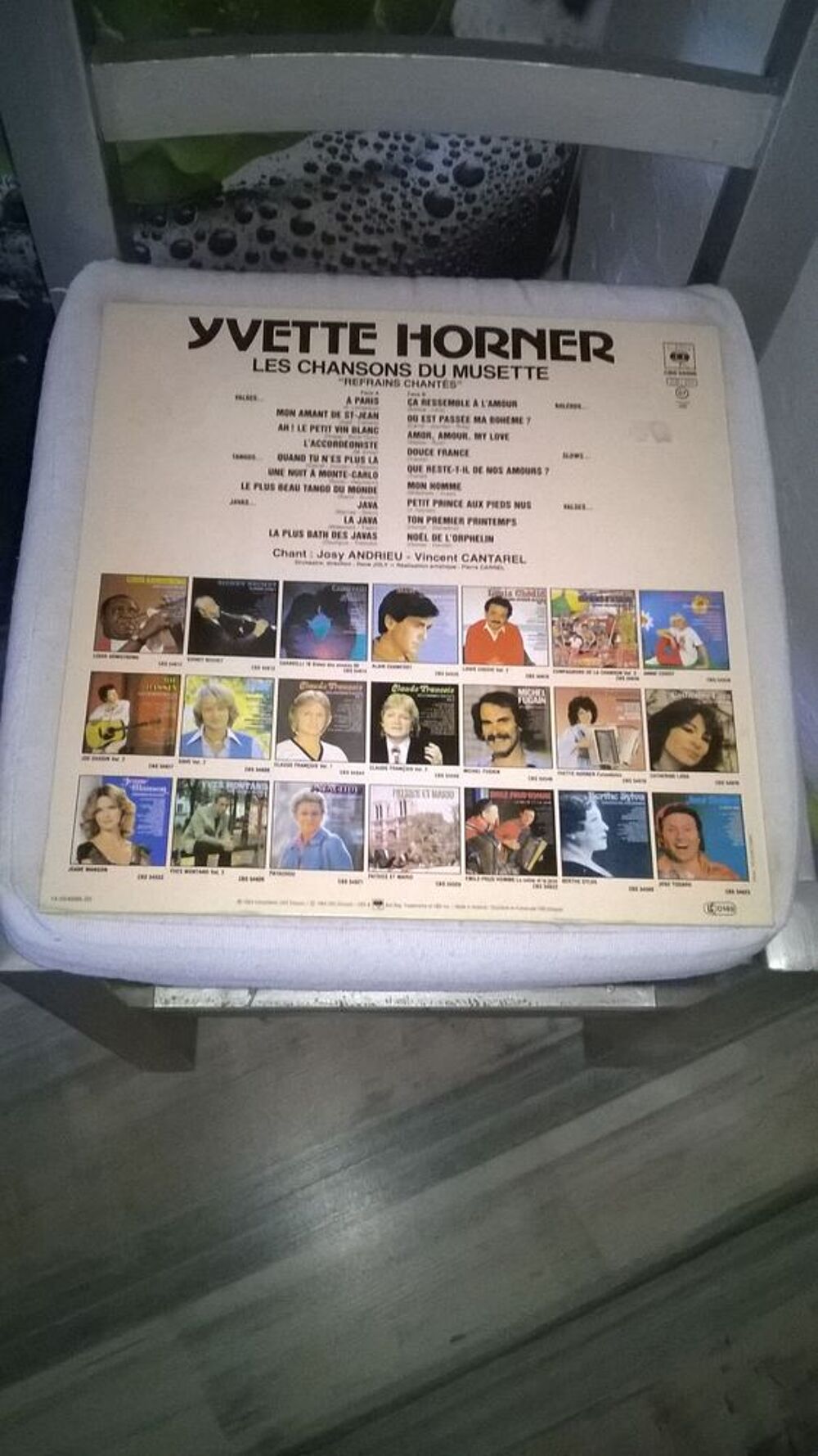 Vinyle Yvette Horner
Les chansons du musette
1984
Excelle CD et vinyles