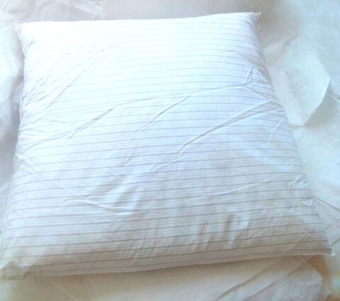 Oreiller en plumettes - fabrication fran�aise - 60 x 60 cm 18 Villeurbanne (69)