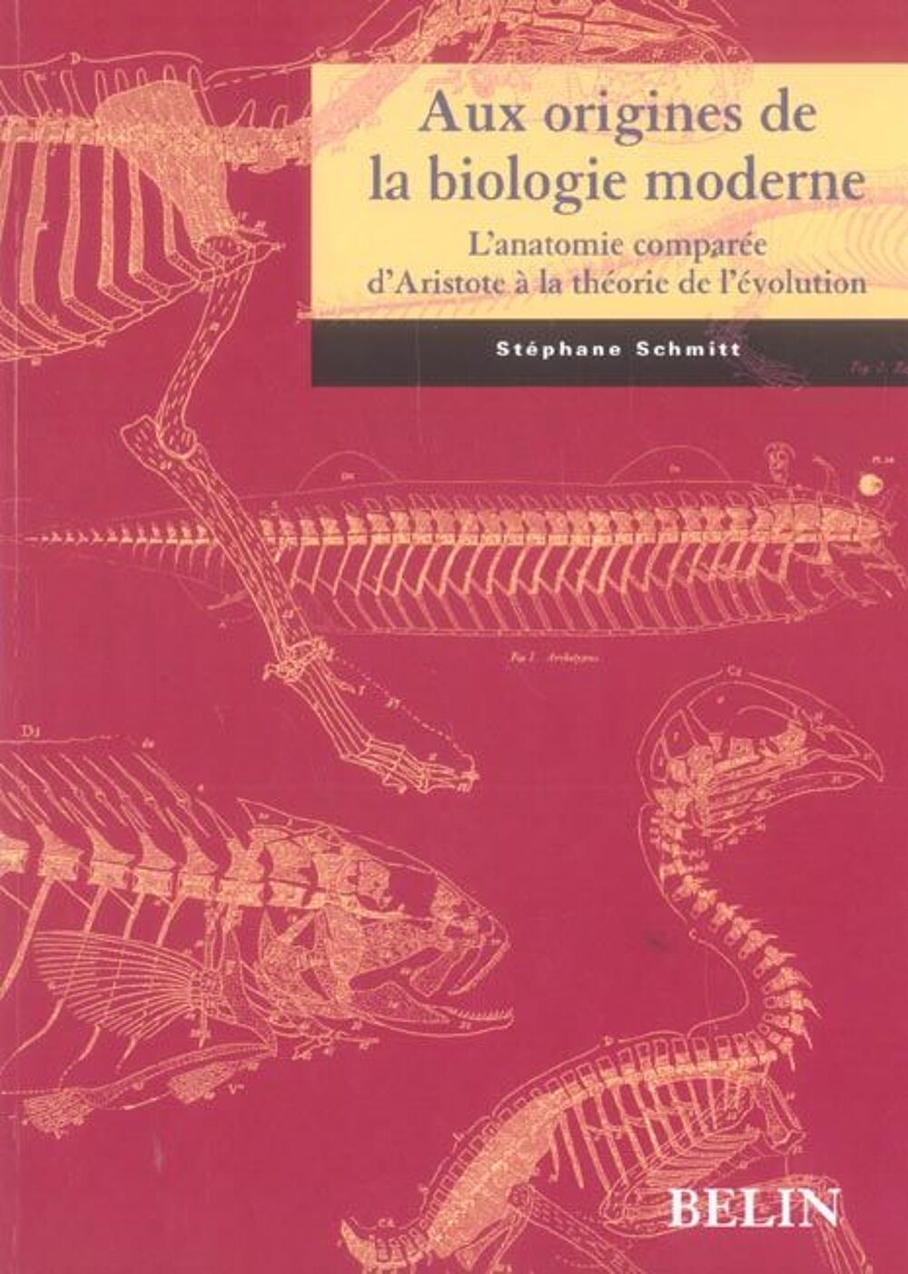 Aux origines de la biologie moderne - l'anatomie comparee Livres et BD