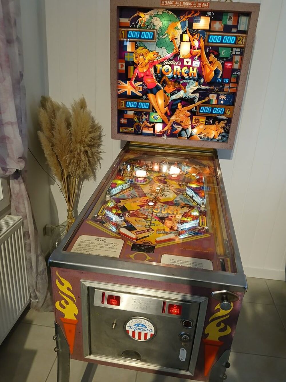 Flipper en panne Photos/Video/TV