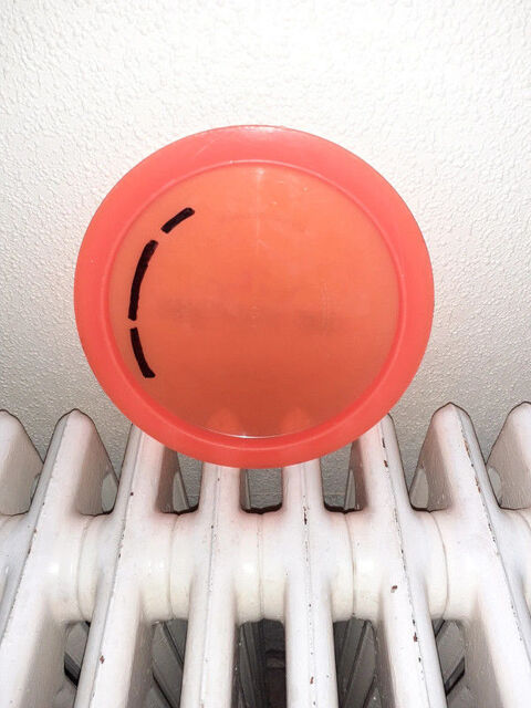 Disque dynamique escapade lucide 10 Ch�nehutte-Tr�ves-Cunault (49)