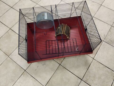 Cages pour rongeurs type hamster gerbille souris 10 78200 Magnanville