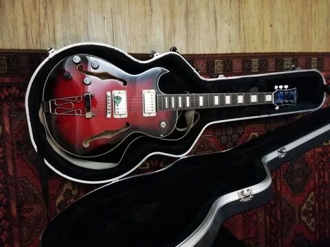 guitares gaucher 250 Ligni�res (10)