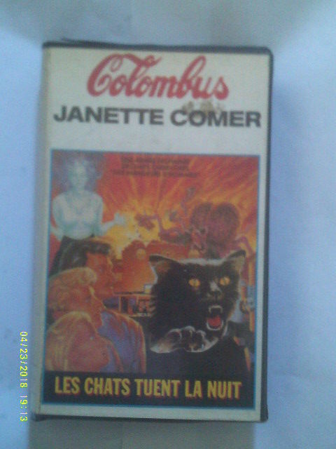LES CHATS TUENT LA NUIT avec H Stiglitz A Comer  Faire Offre 0 Malo Les Bains (59)