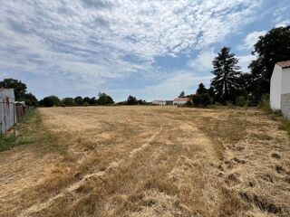  Terrain  vendre 5974 m Mazeray