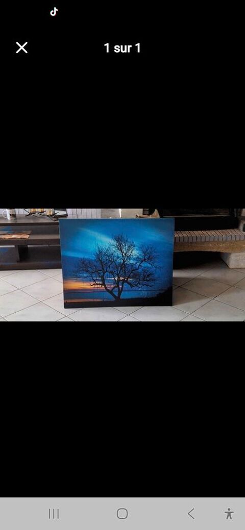 Grand Tableau 15 La Ch�taigneraie (85)