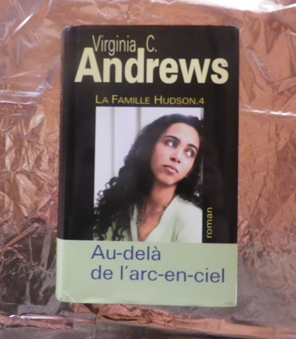 AU-DELA DE L'ARC-EN-CIEL T4 LA FAMILLE HUDSON V. C. ANDREWQ Livres et BD