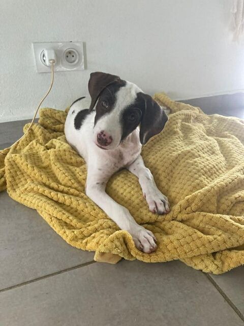 Miss LOVELY  300 44000 Nantes