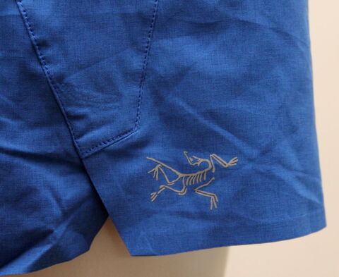 Short Arc'teryx T.M soit 4/42 Fr 35 Issy-les-Moulineaux (92)