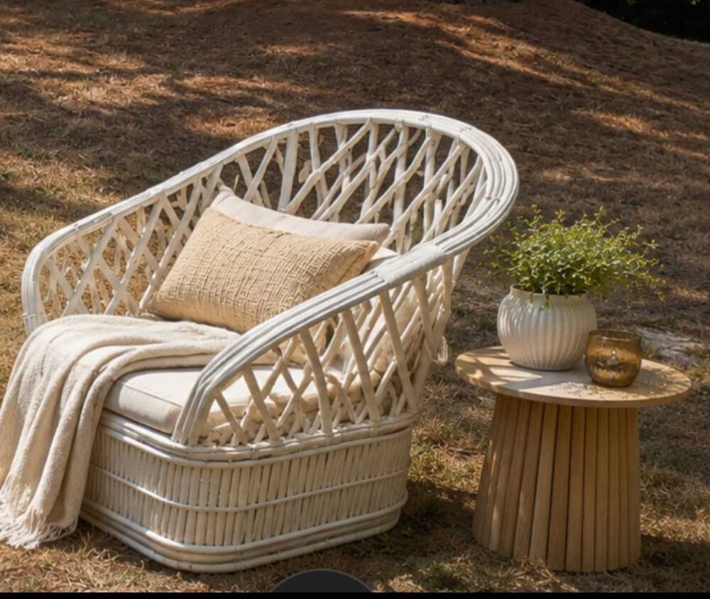 Fauteuil en rotin Meubles