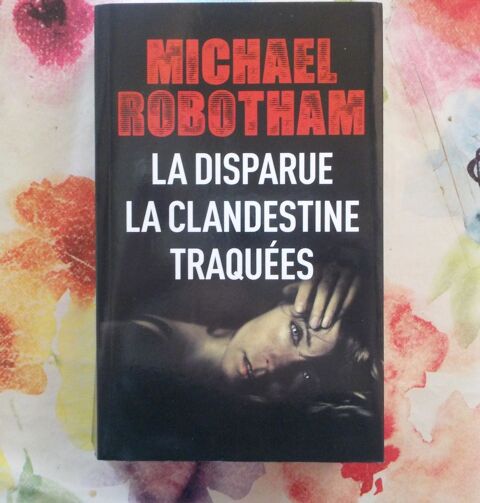 LA DISPARUE LA CLANDESTINE TRAQUEES de Michael BOBOTHAM 4 Bubry (56)