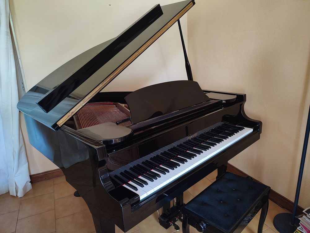 PIANO 1/4 DE QUEUE Instruments de musique