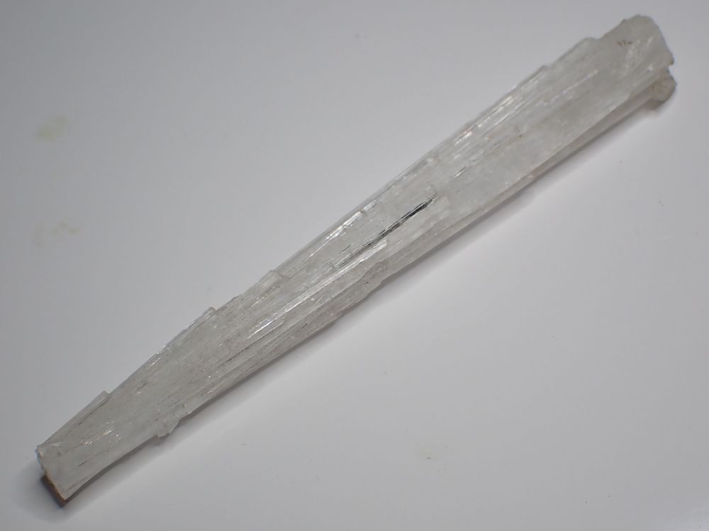 Scol&eacute;site Inde 17 gr 113 x 13 x 9 mm 